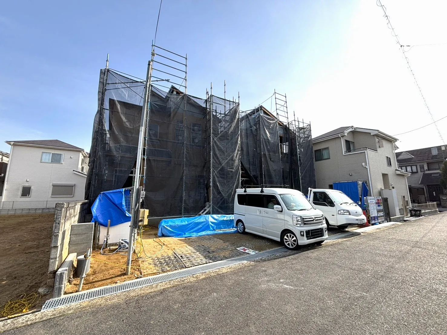 2026年1月中旬撮影