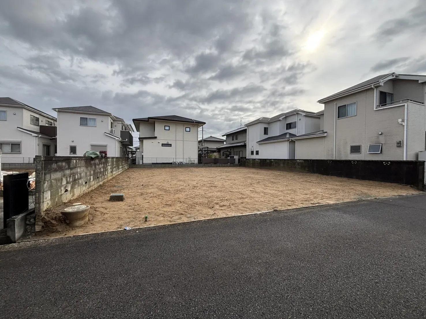 2025年11月中旬撮影