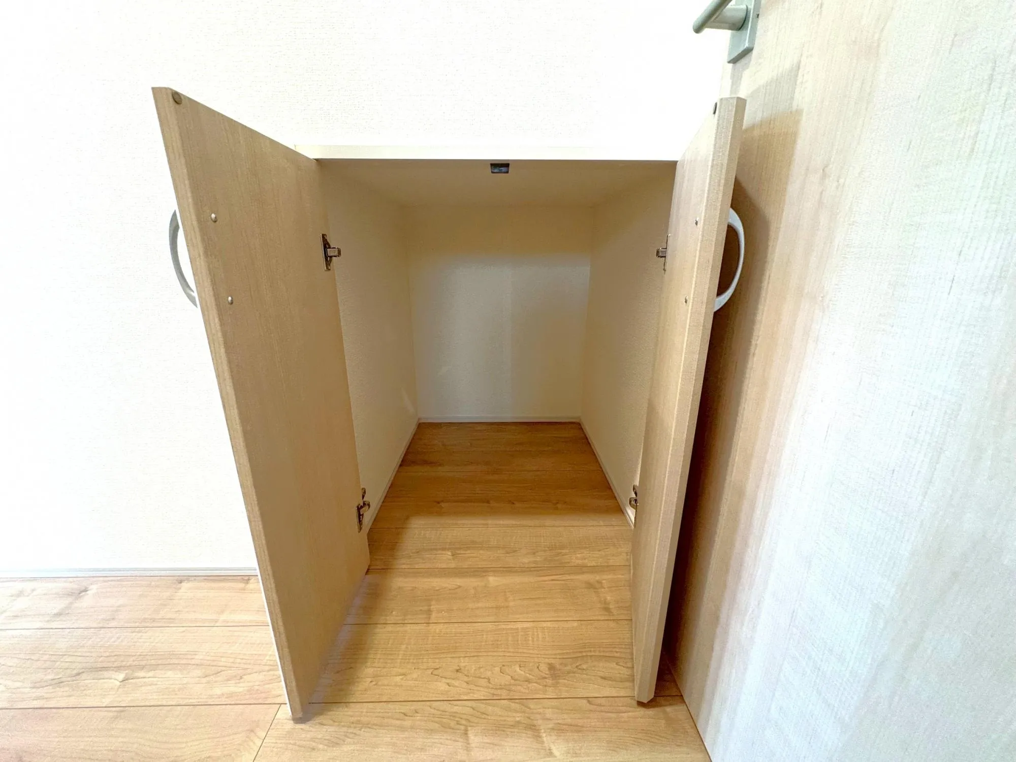 2号棟階段下収納