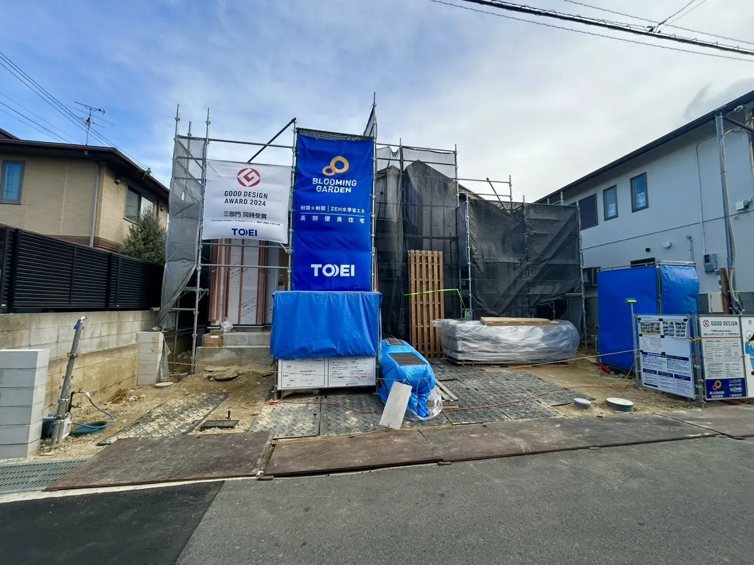 2026年1月中旬撮影