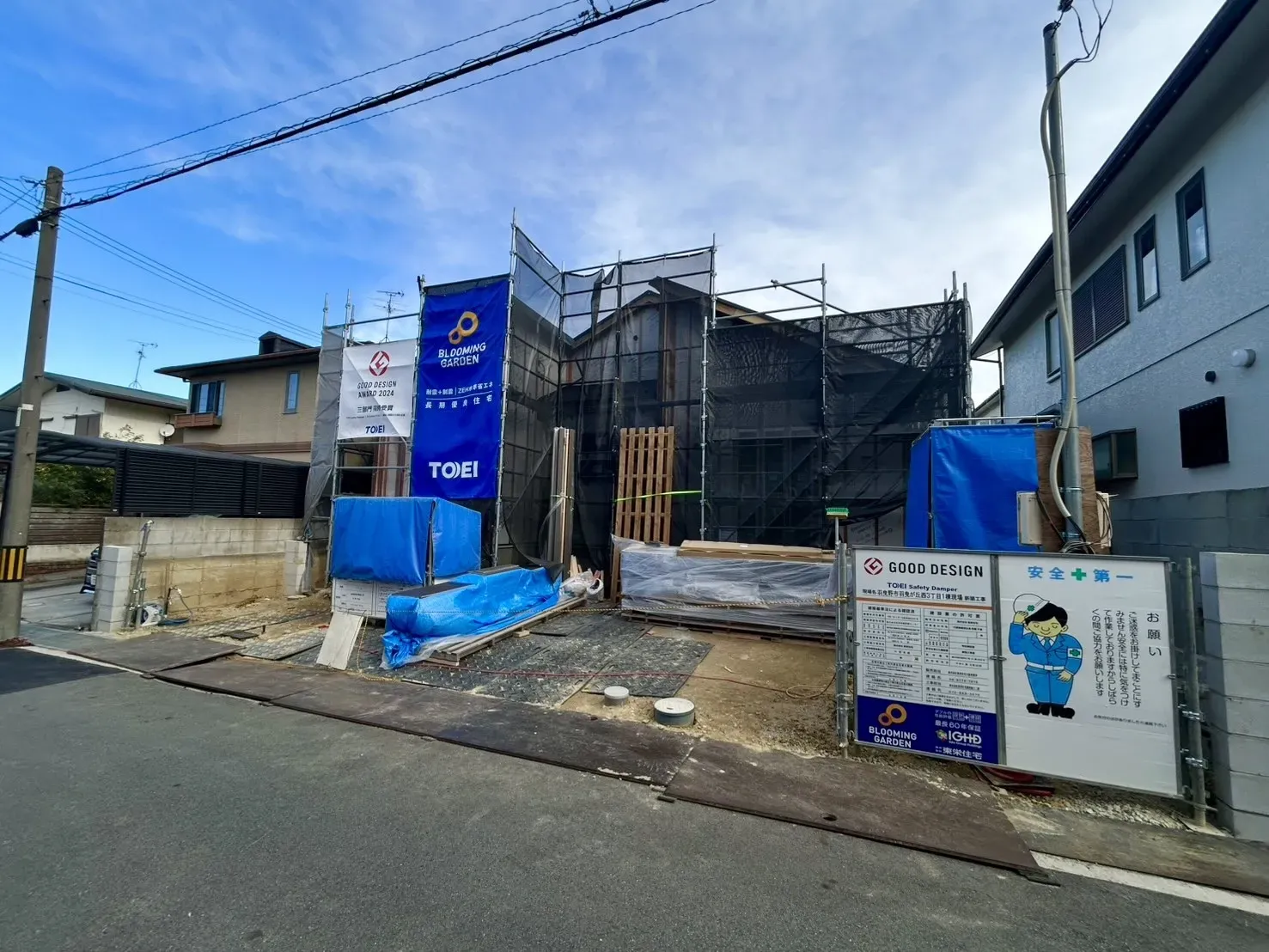 2026年1月中旬撮影