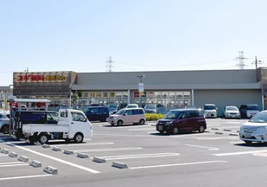 スギドラックフレスポ桶川店