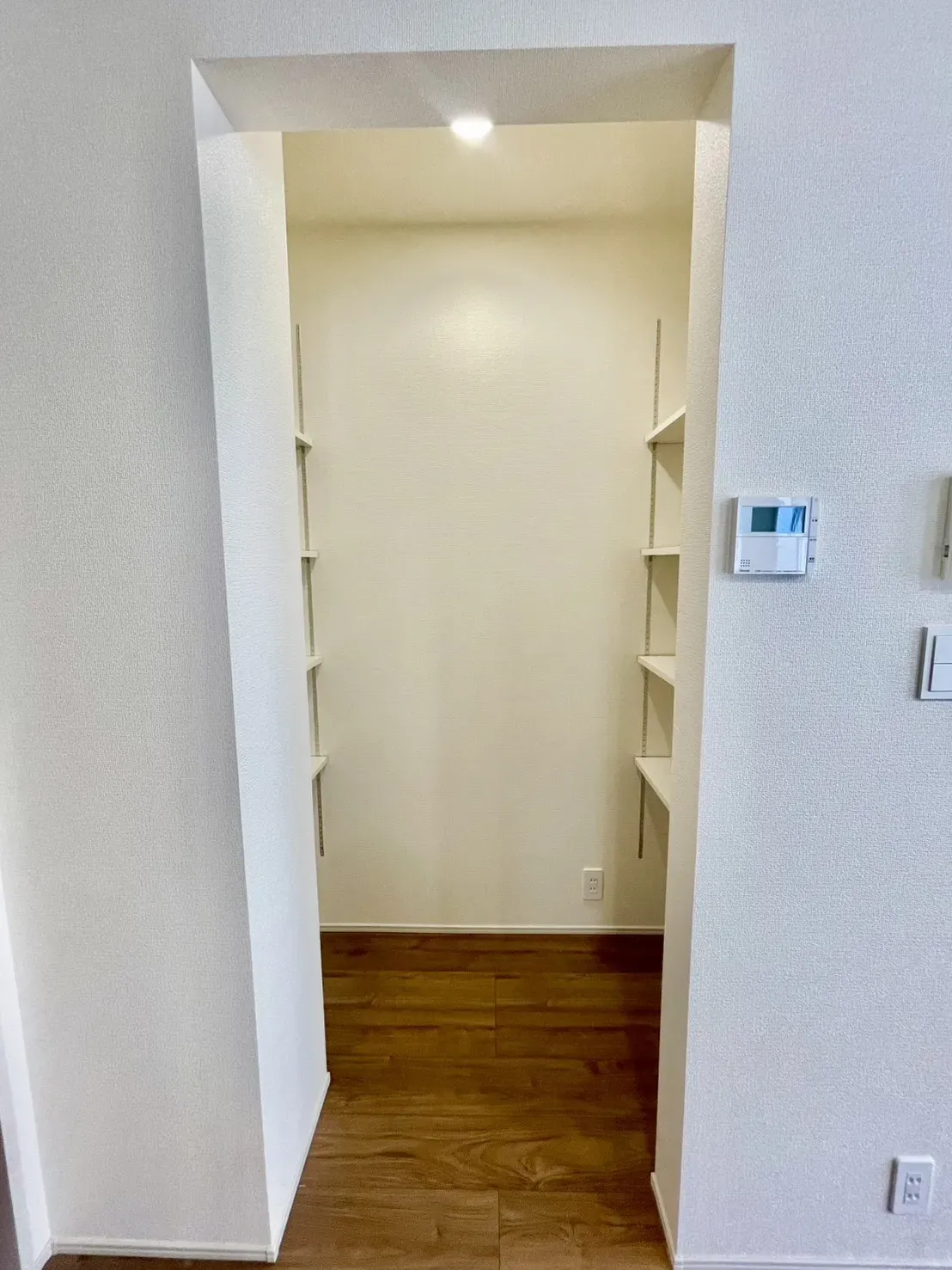 【パントリー】