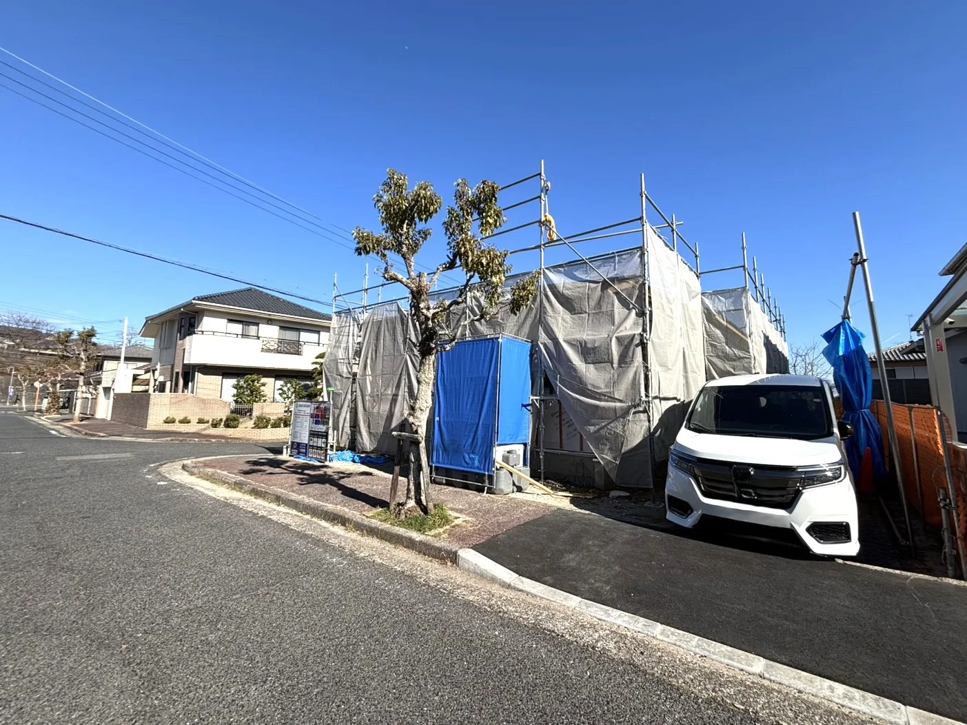 2026年1月上旬撮影