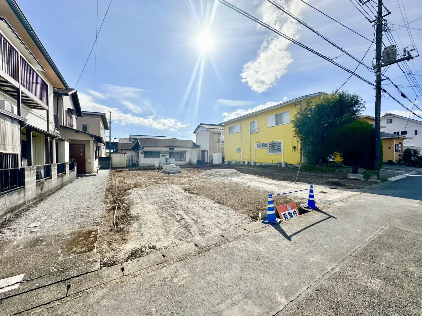 現地写真(11/23撮影)