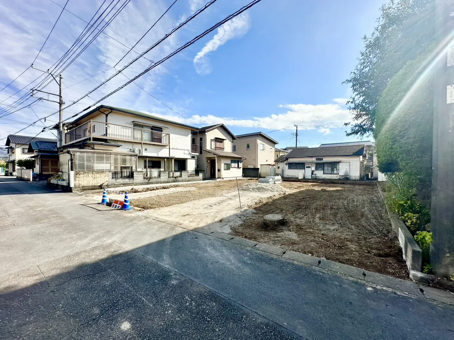 現地写真(11/23撮影)