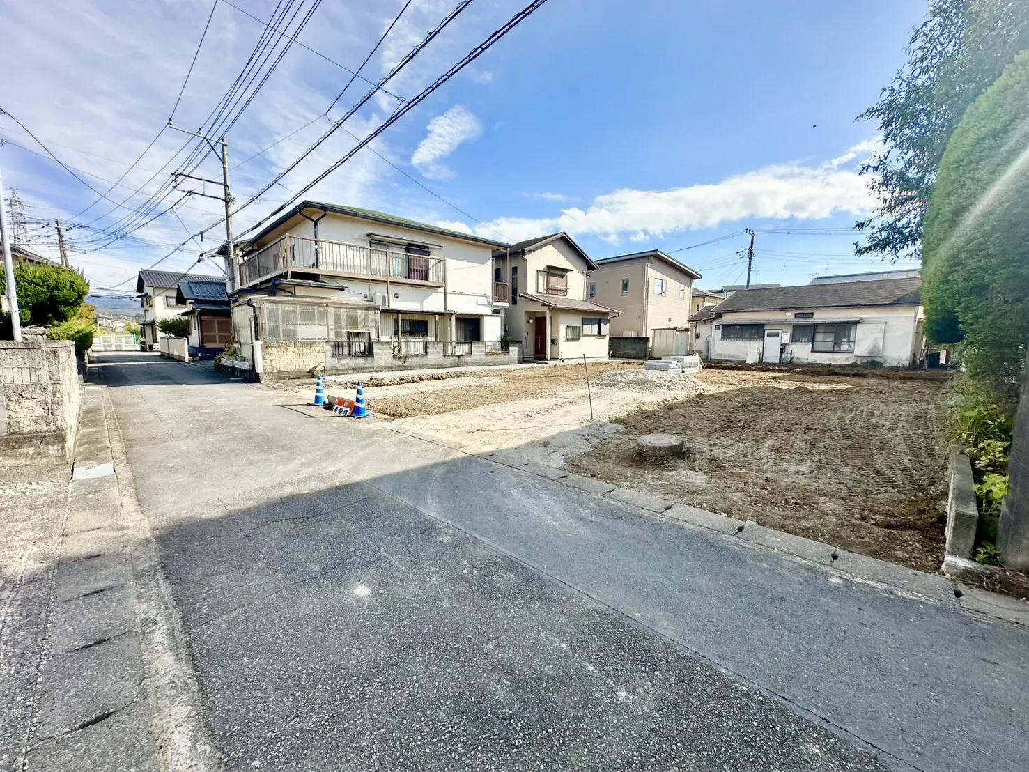 現地写真(11/23撮影)