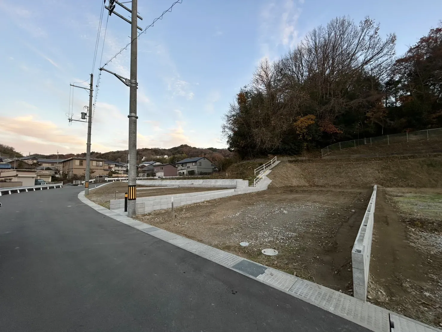 2025年12月中旬撮影