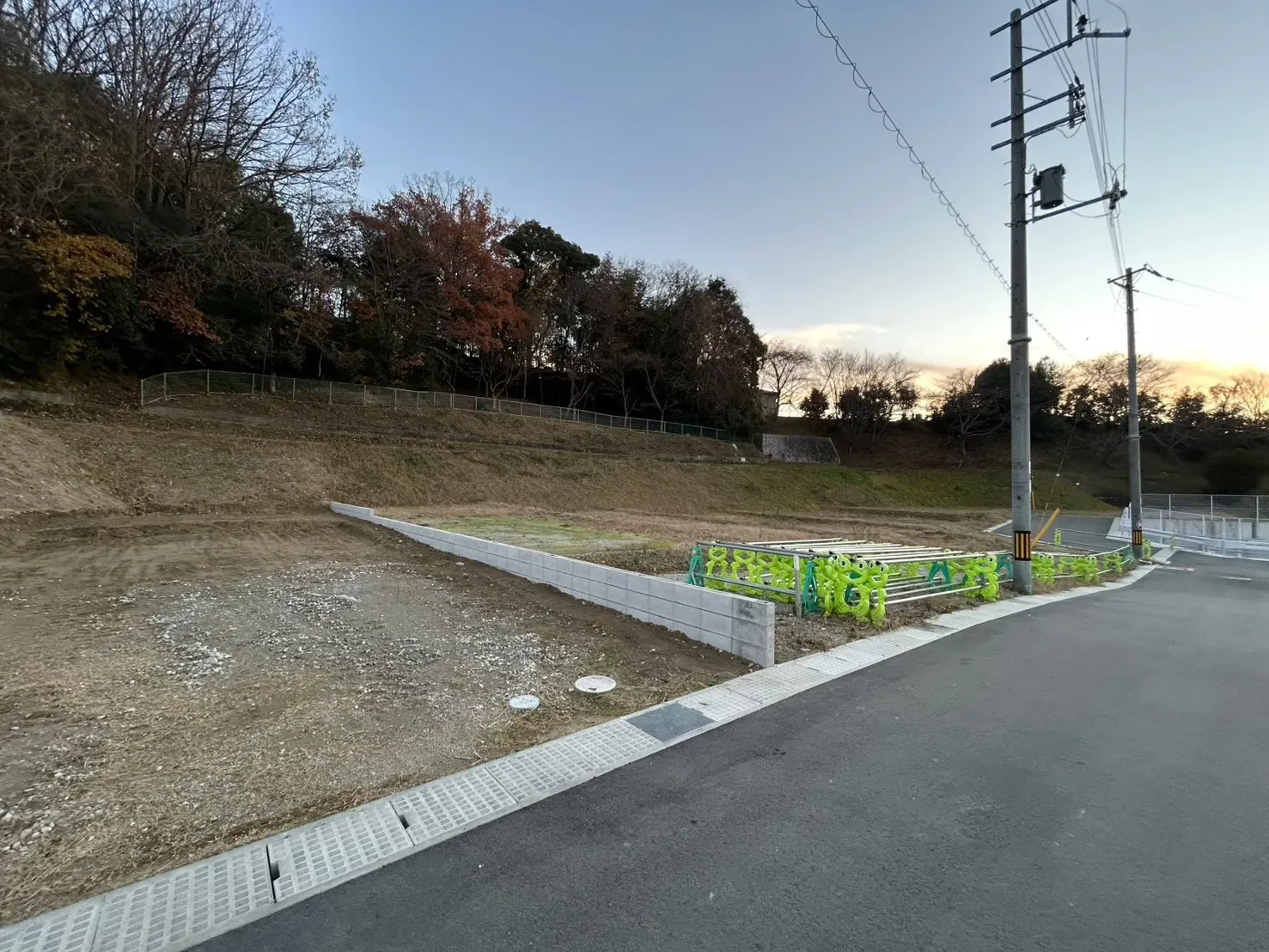 2025年12月中旬撮影