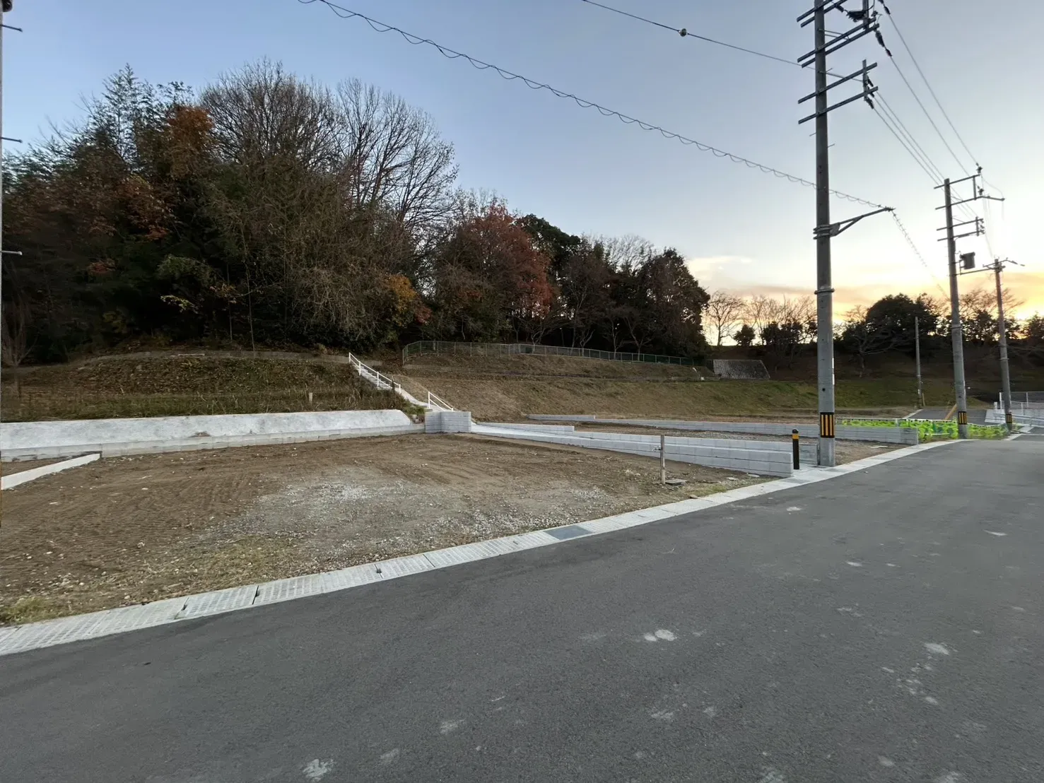 2025年12月中旬撮影