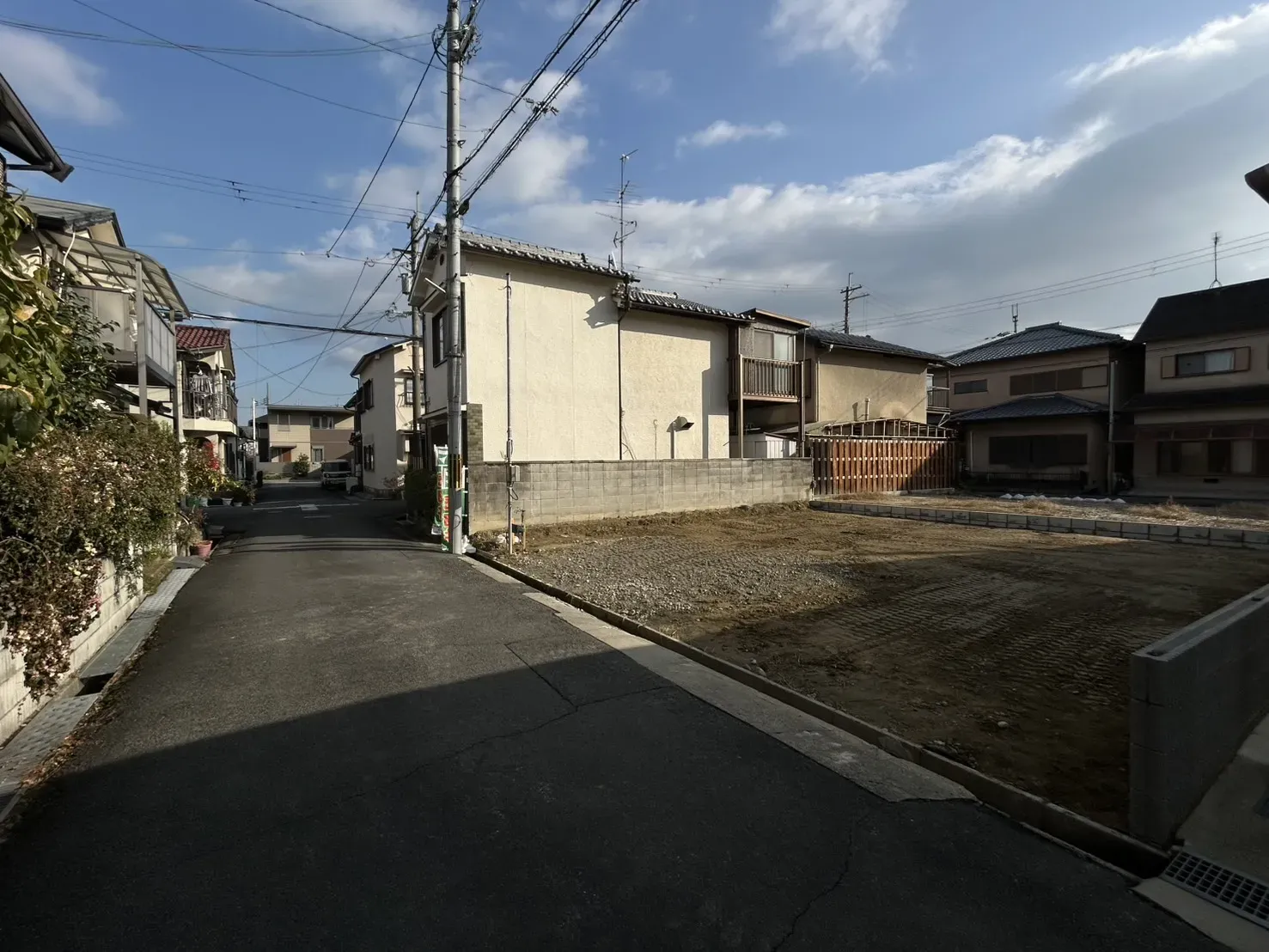 2025年12月中旬撮影