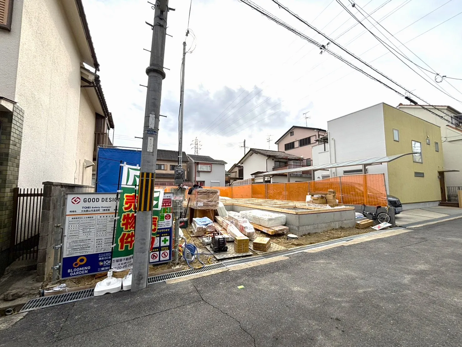 2026年1月中旬撮影