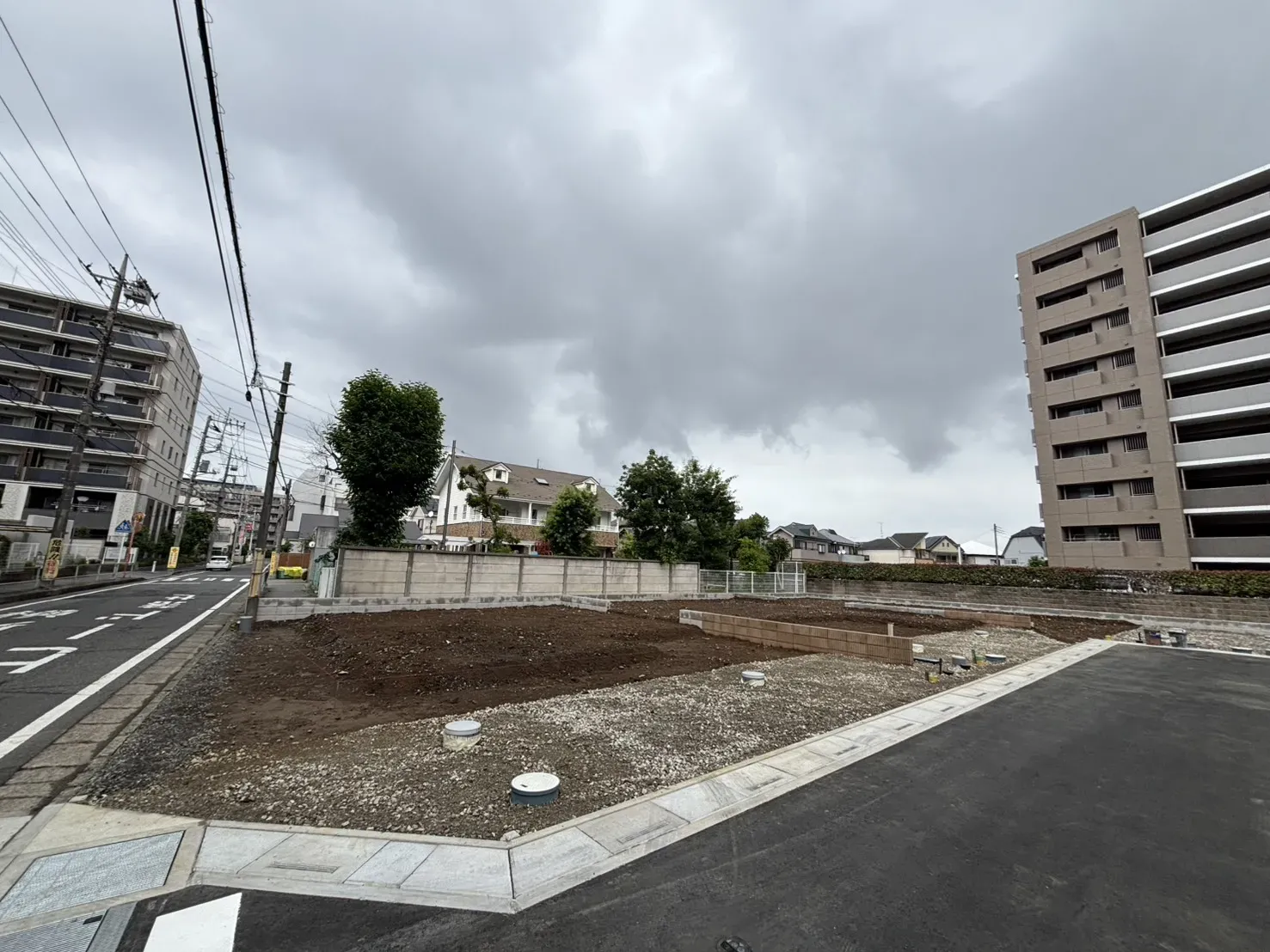 現地写真(2026.6.19)