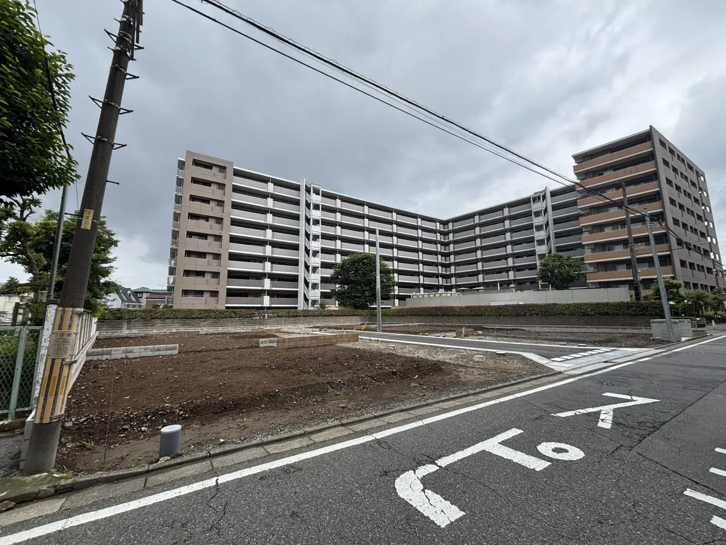 現地写真(2026.6.19)