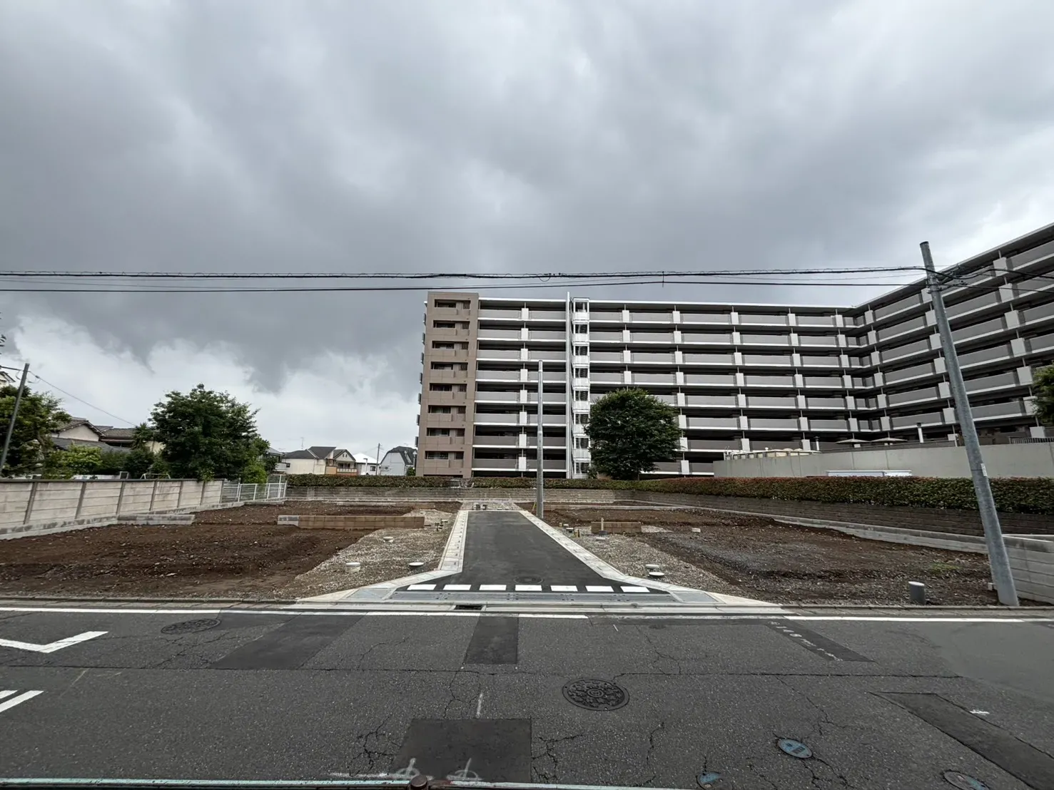 現地写真(2026.6.19)