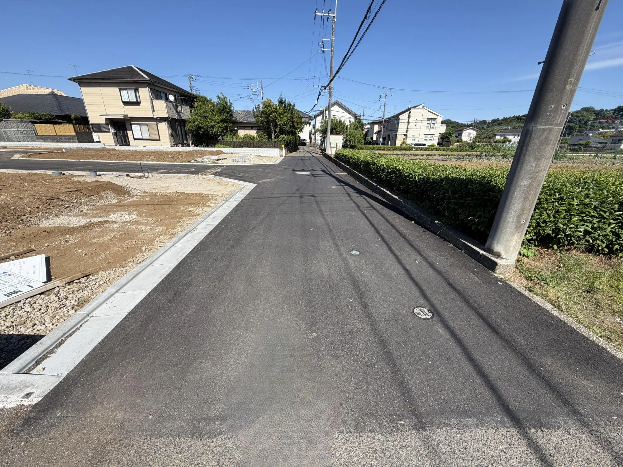 販売現地