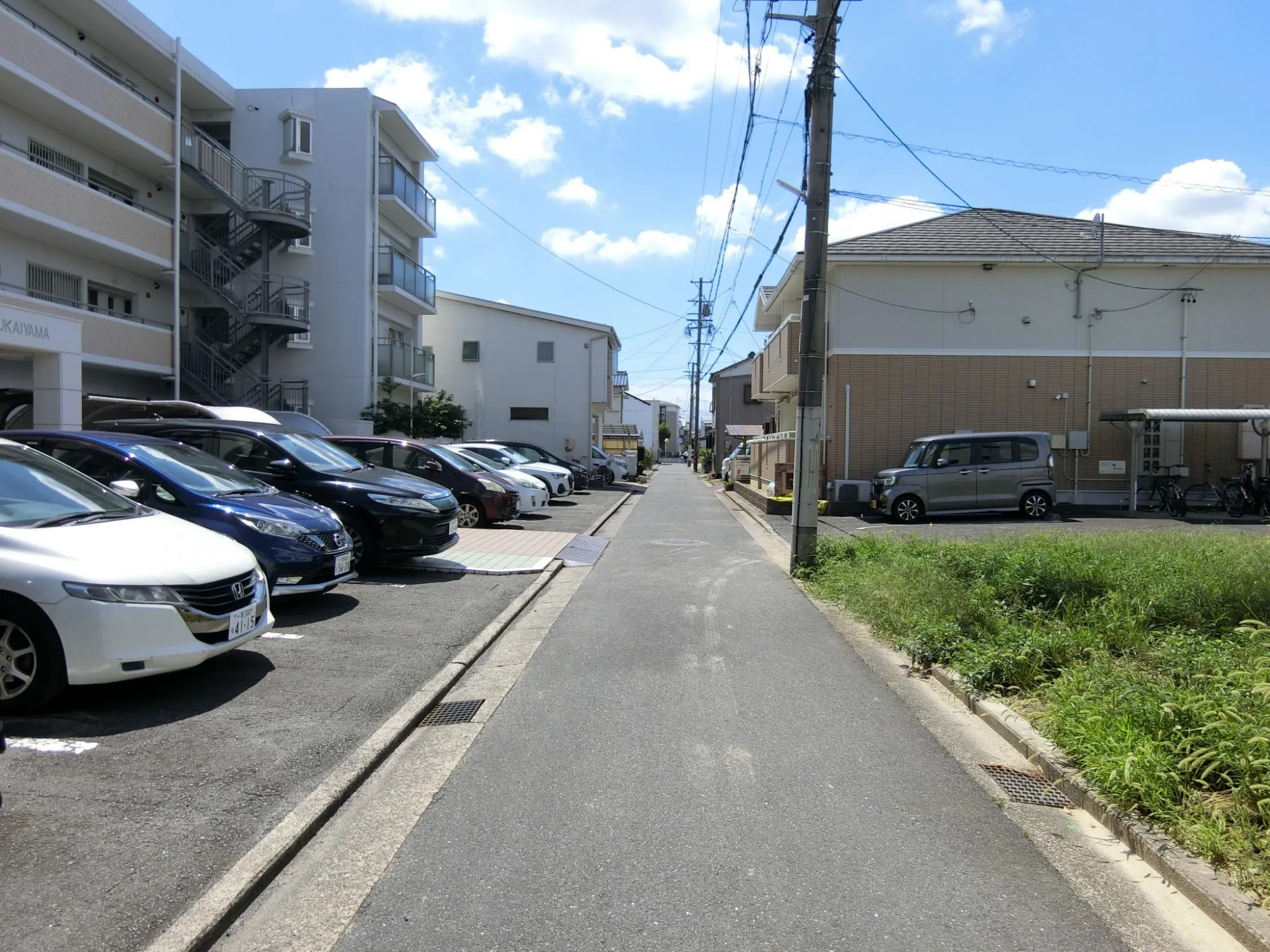 7月20日撮影(前面道路)