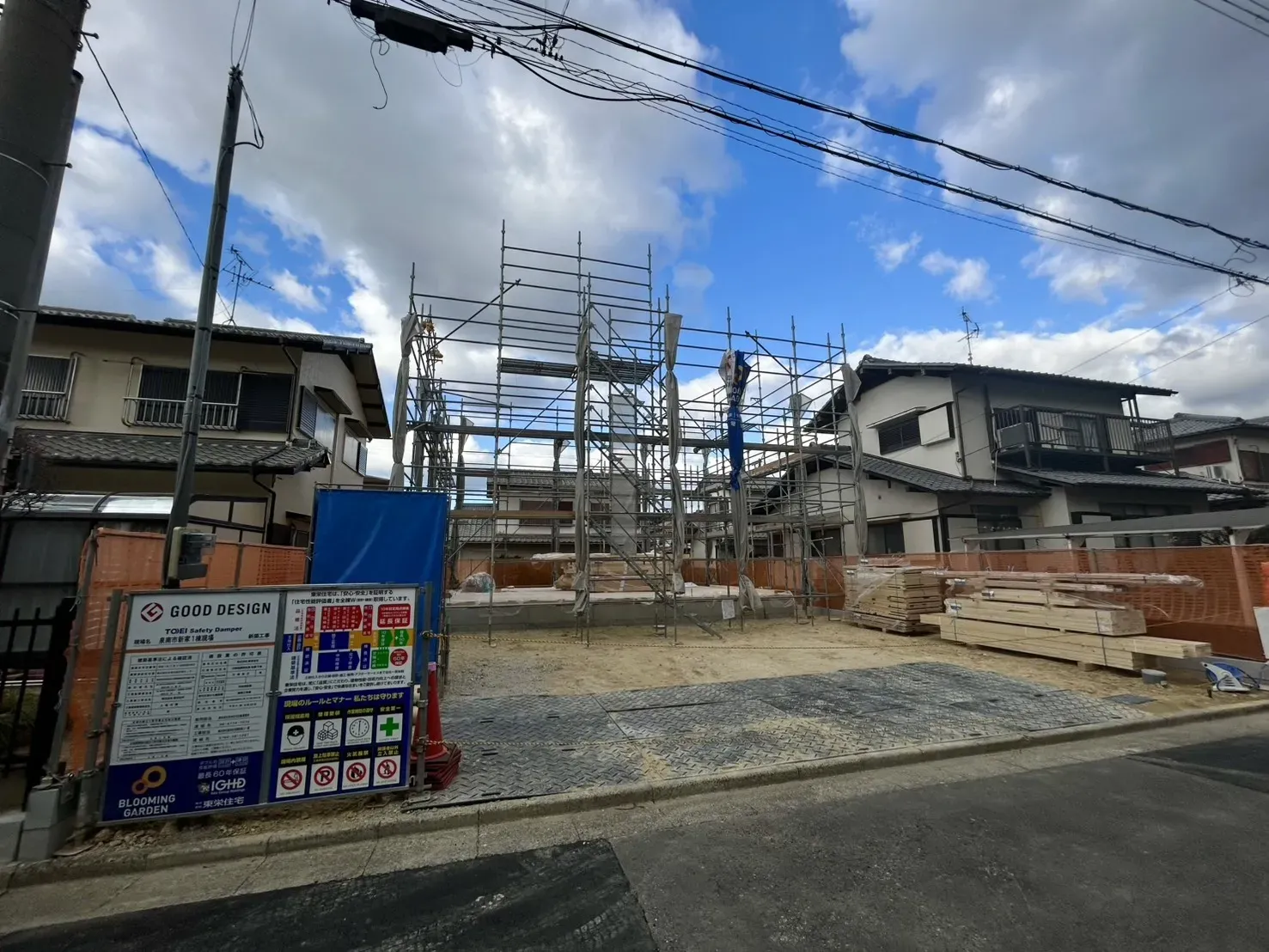 2026年1月下旬撮影