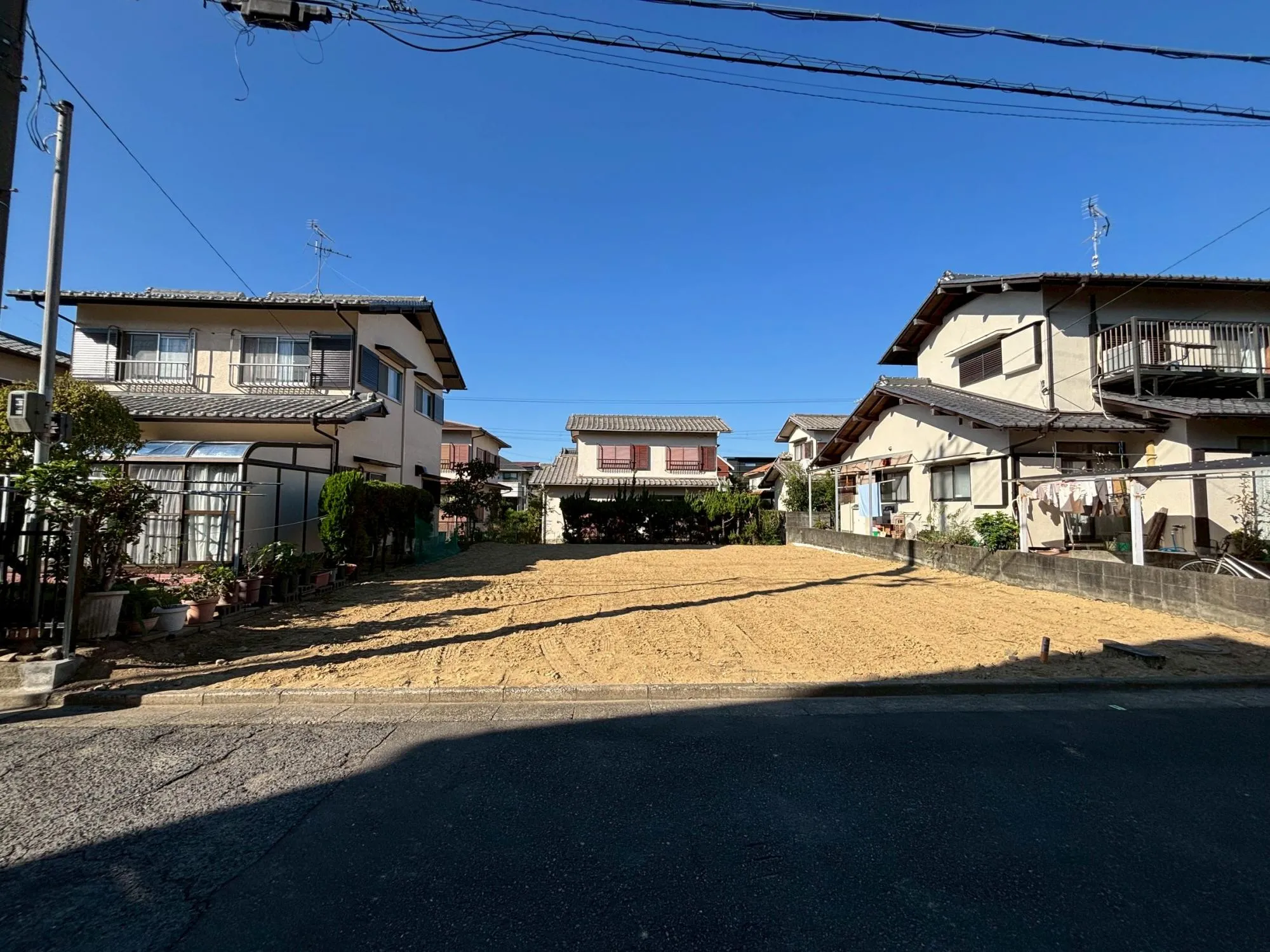 2025年12月上旬撮影