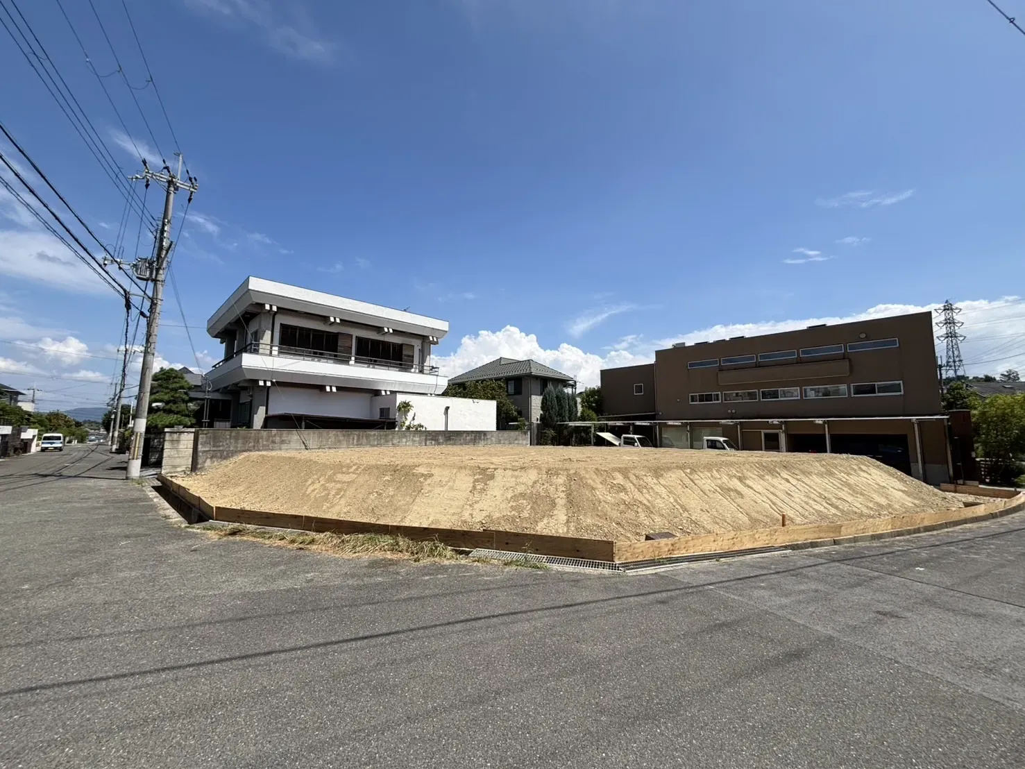 2025年8月上旬撮影