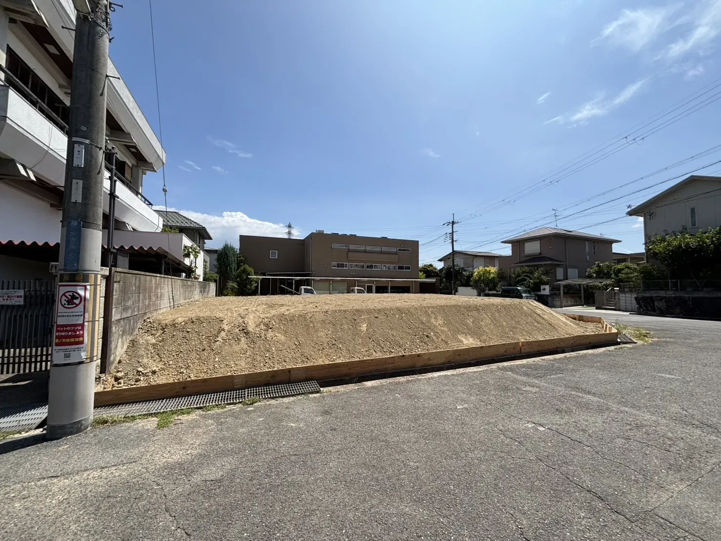 2025年8月上旬撮影