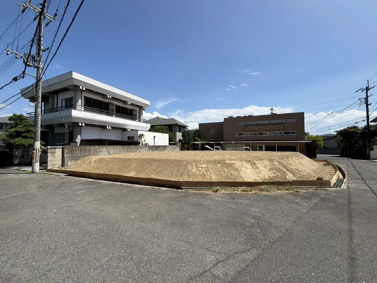 2025年8月上旬撮影