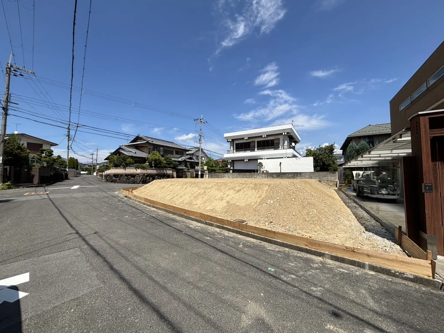 2025年8月上旬撮影