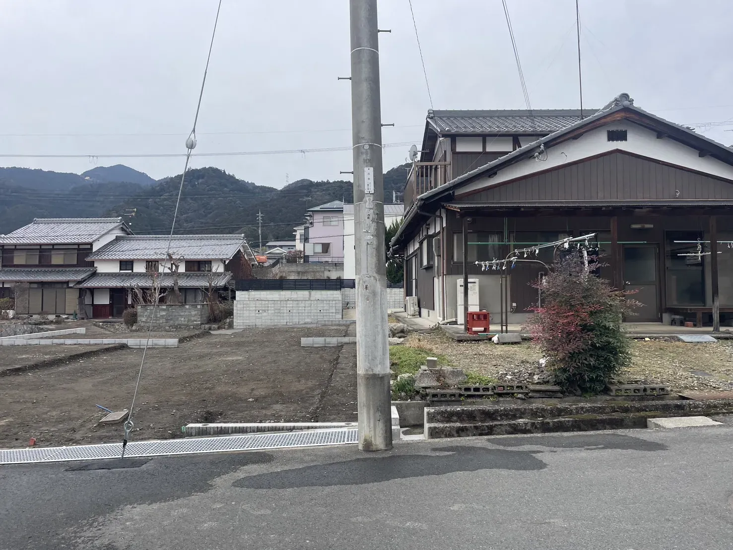 【販売現地】2026.2.27撮影