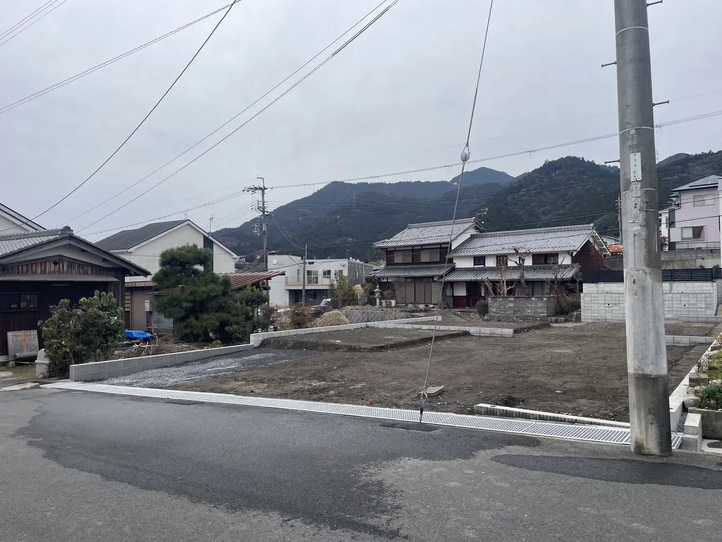 【販売現地】2026.2.27撮影