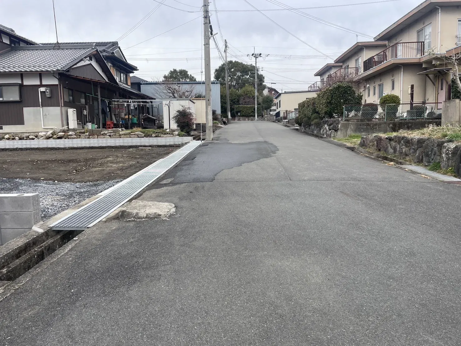 【販売現地】2026.2.27撮影