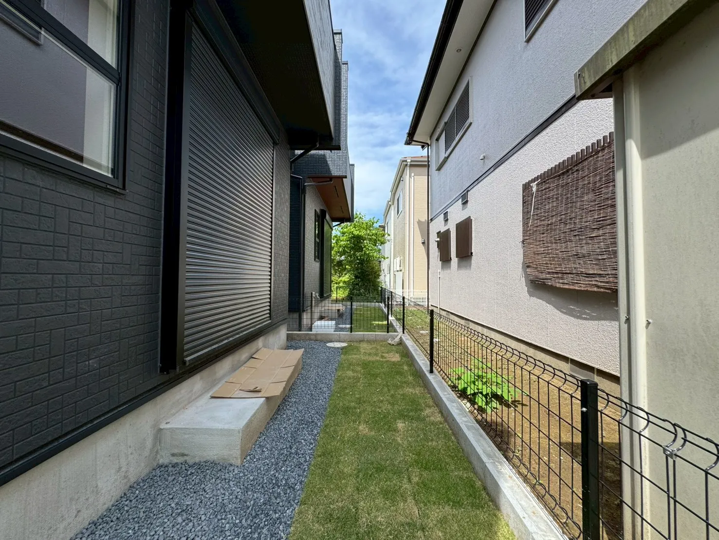 庭