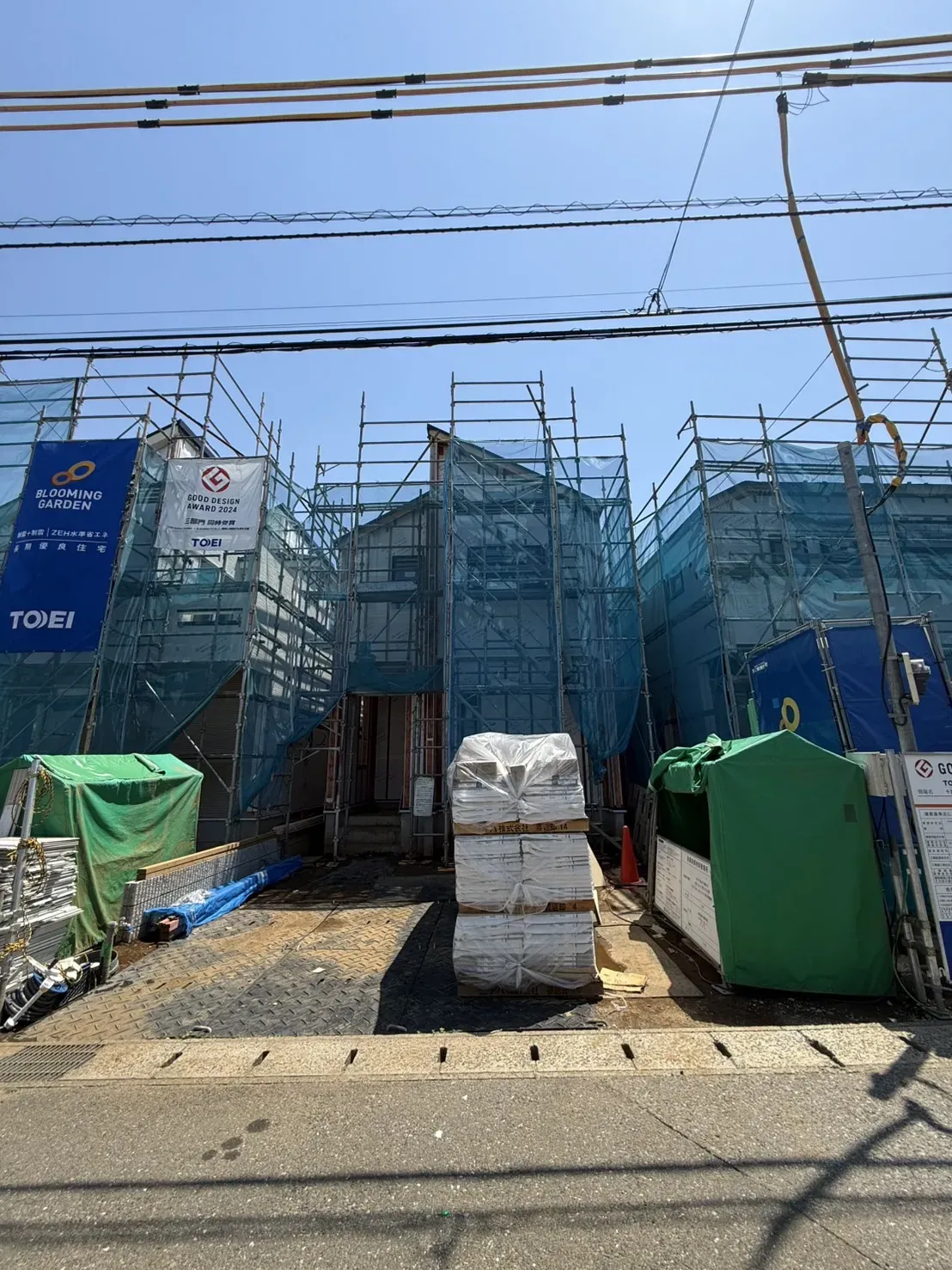5月上旬撮影