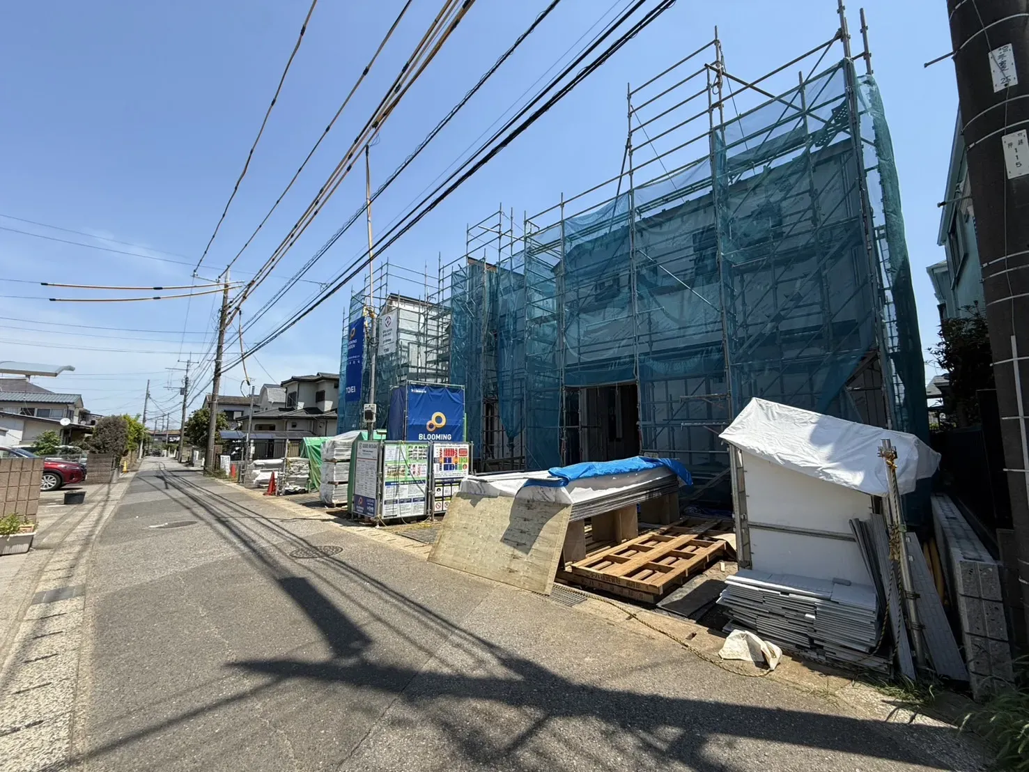 5月上旬撮影