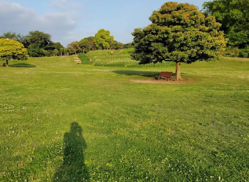 神奈川県立観音崎公園