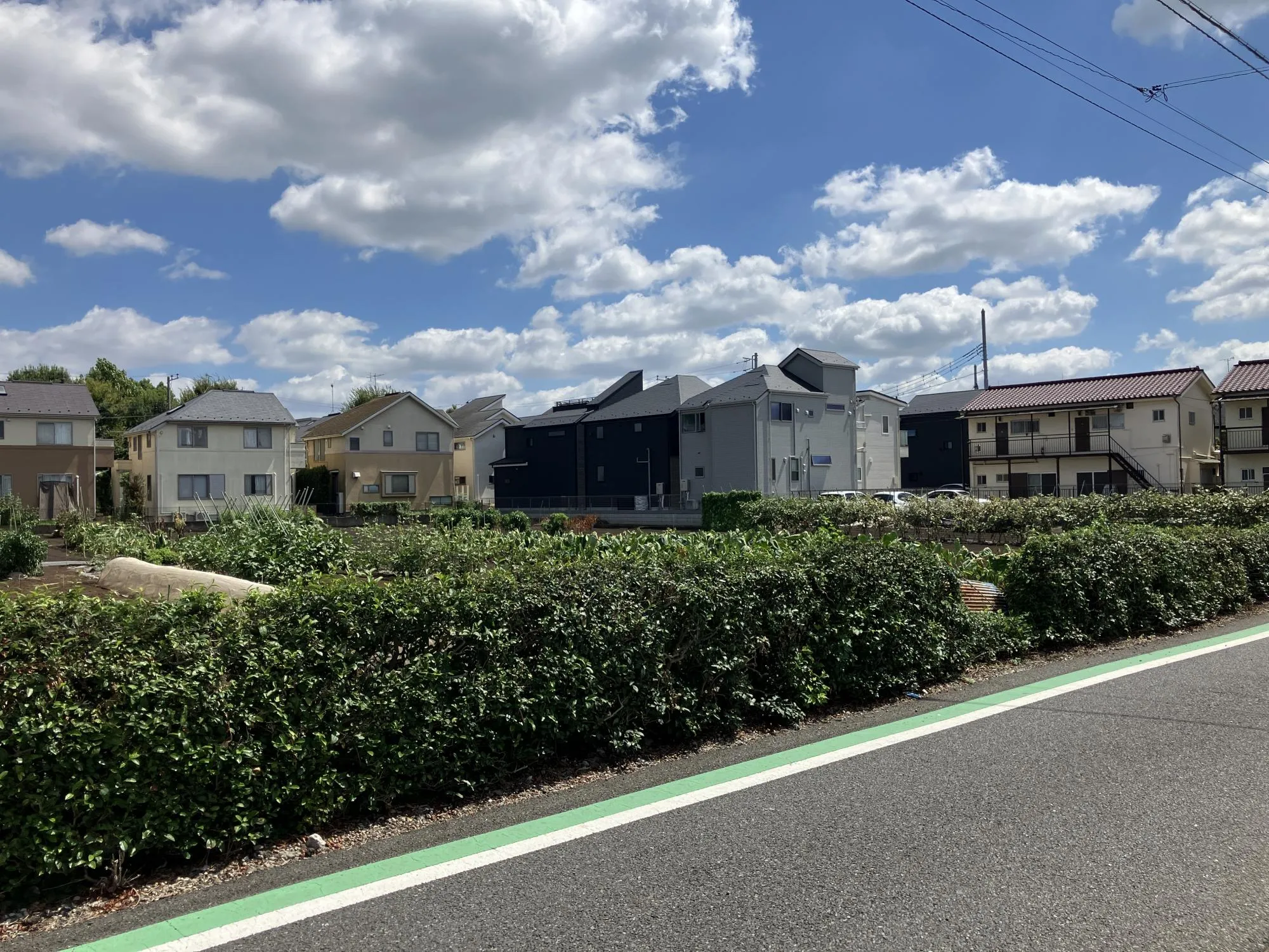 【現地土地写真(撮影:9月)】