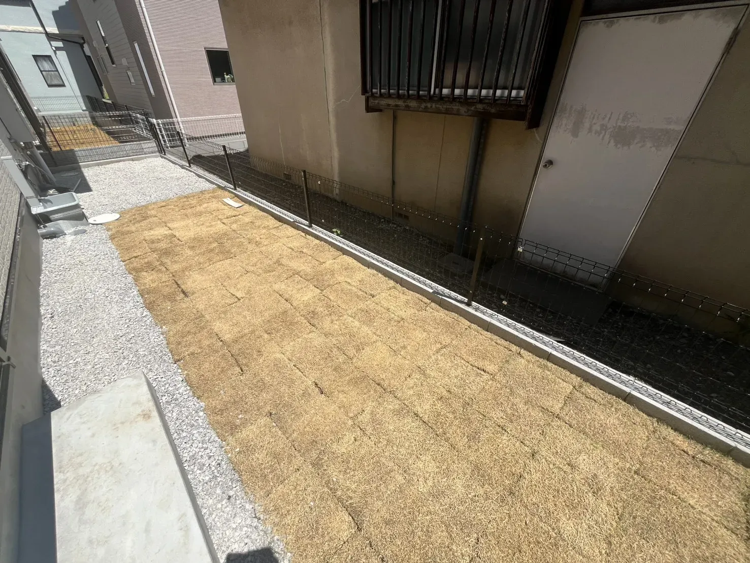 庭