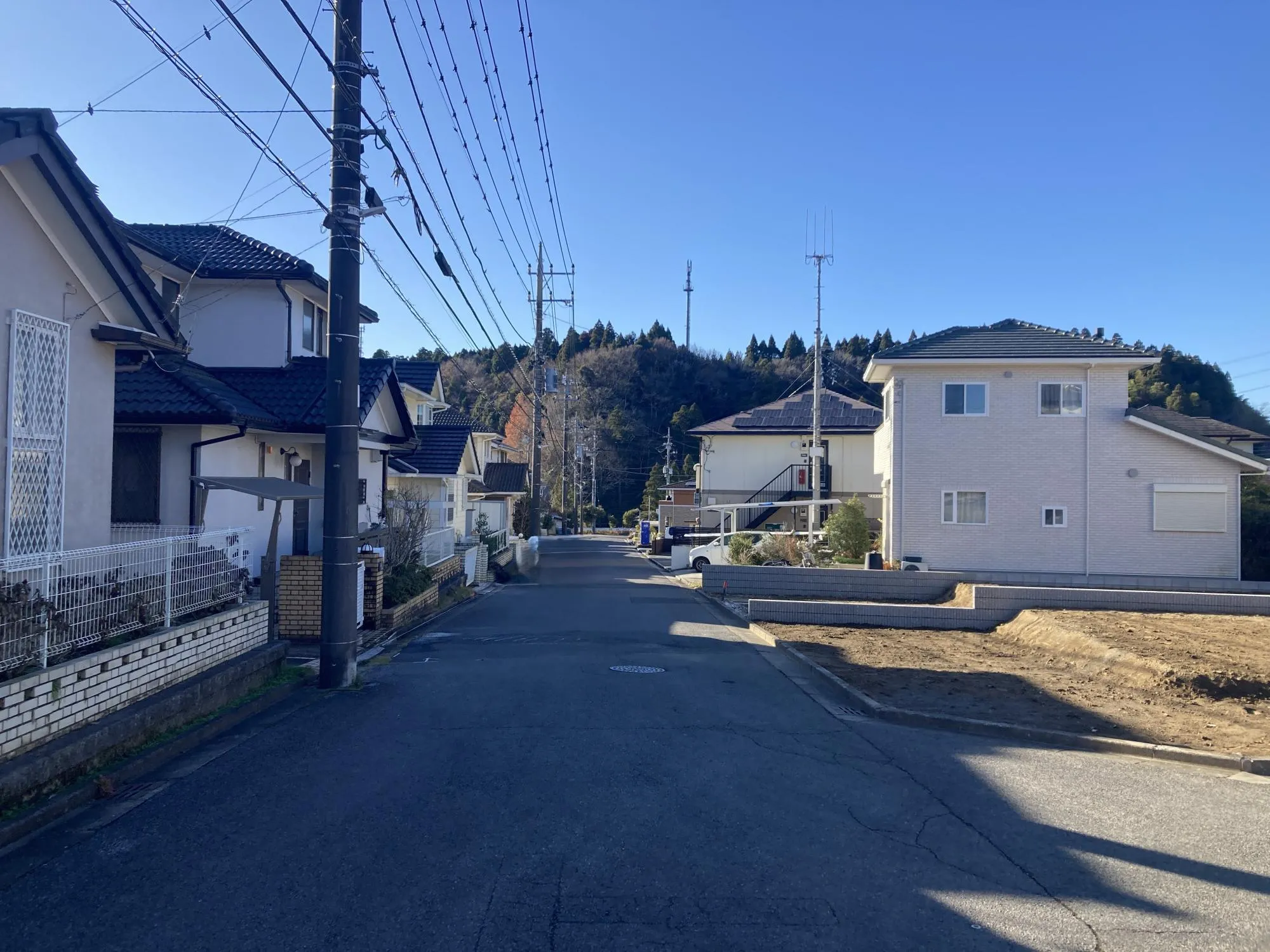 2025年12月15日撮影