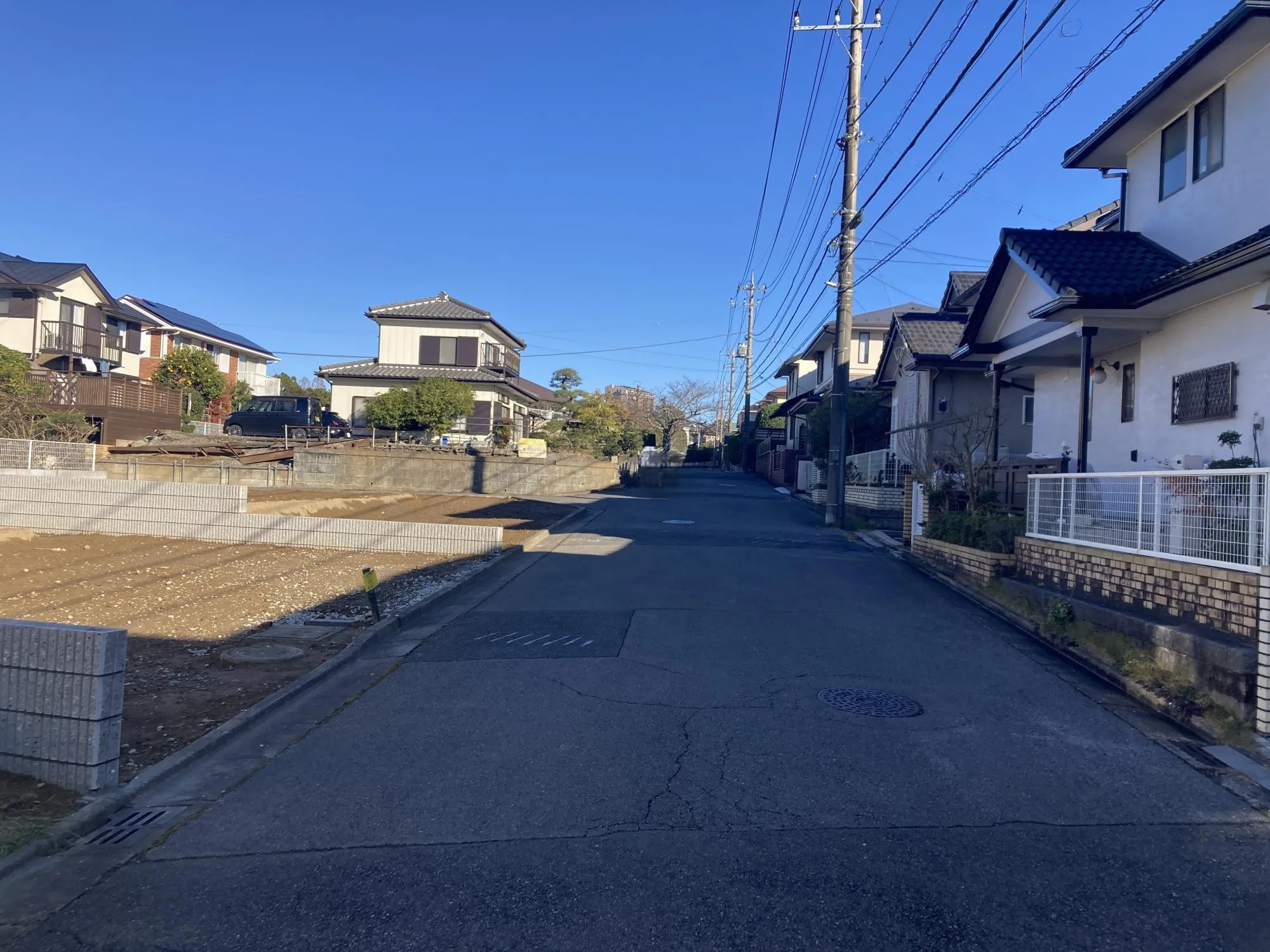 2025年12月15日撮影