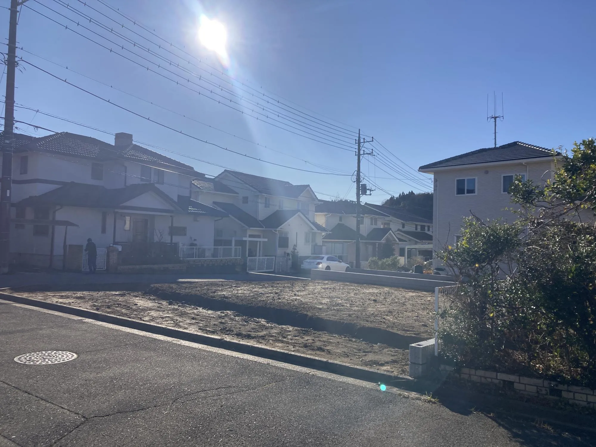 2025年12月15日撮影