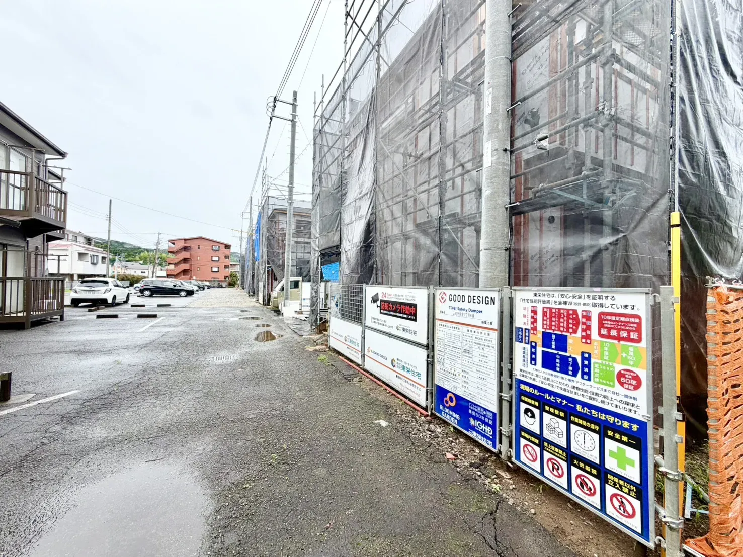 現地写真(6/28撮影)