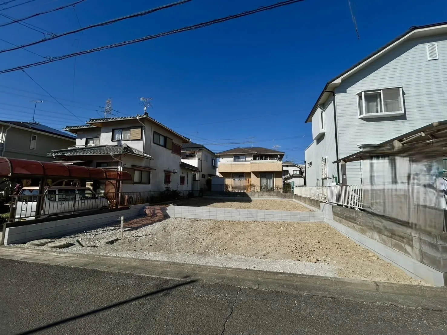 2026年1月中旬撮影