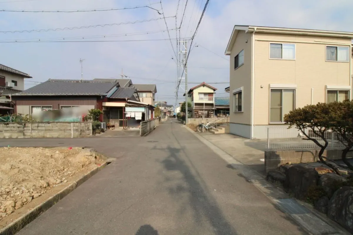 1月5日撮影 東側道路(南→北)