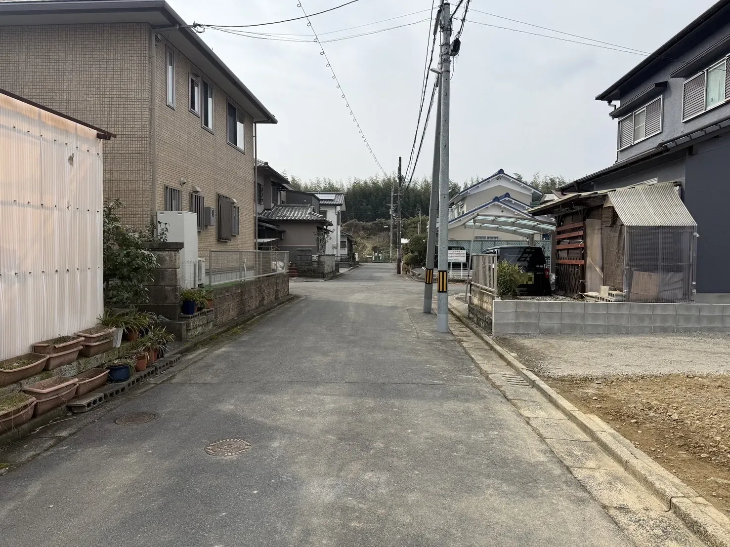 【販売現地】2026.2.6撮影