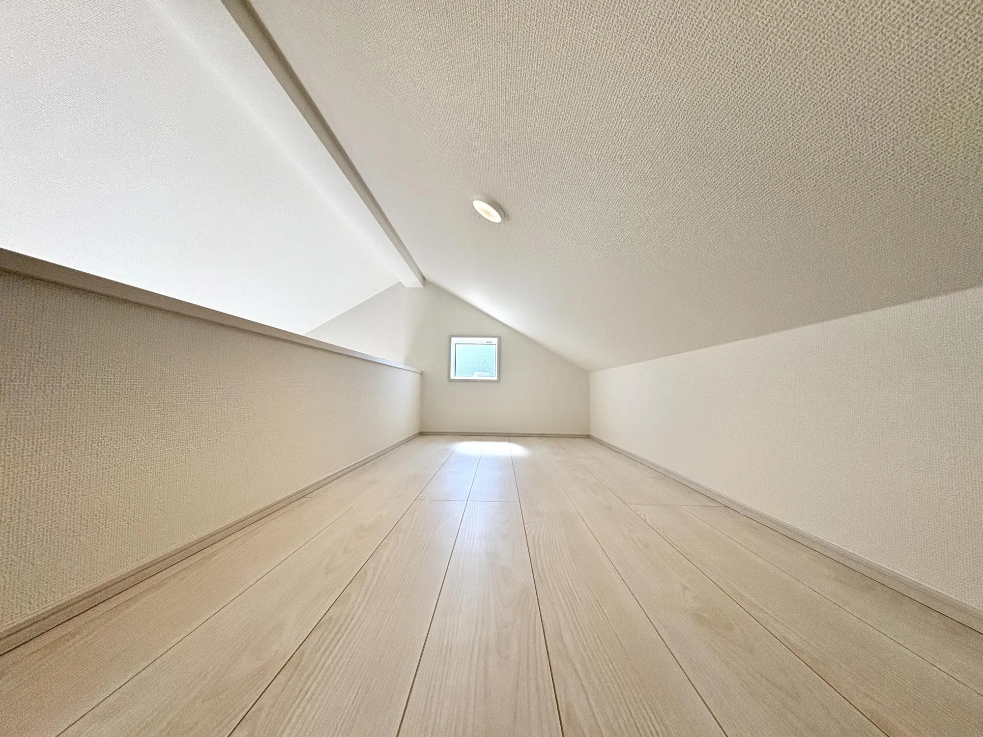 【7号棟/ロフト】