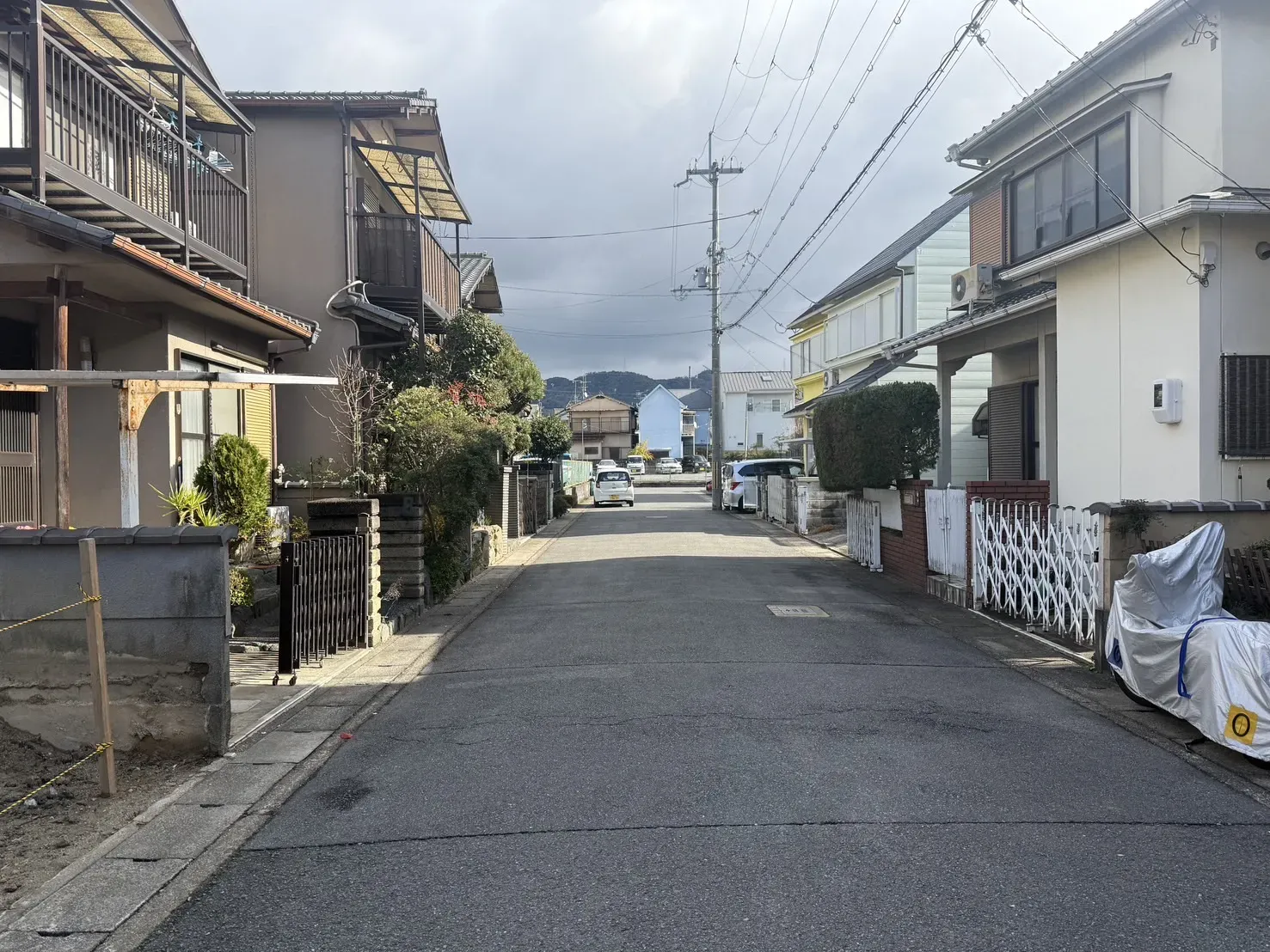 【販売現地】2026.12.26撮影