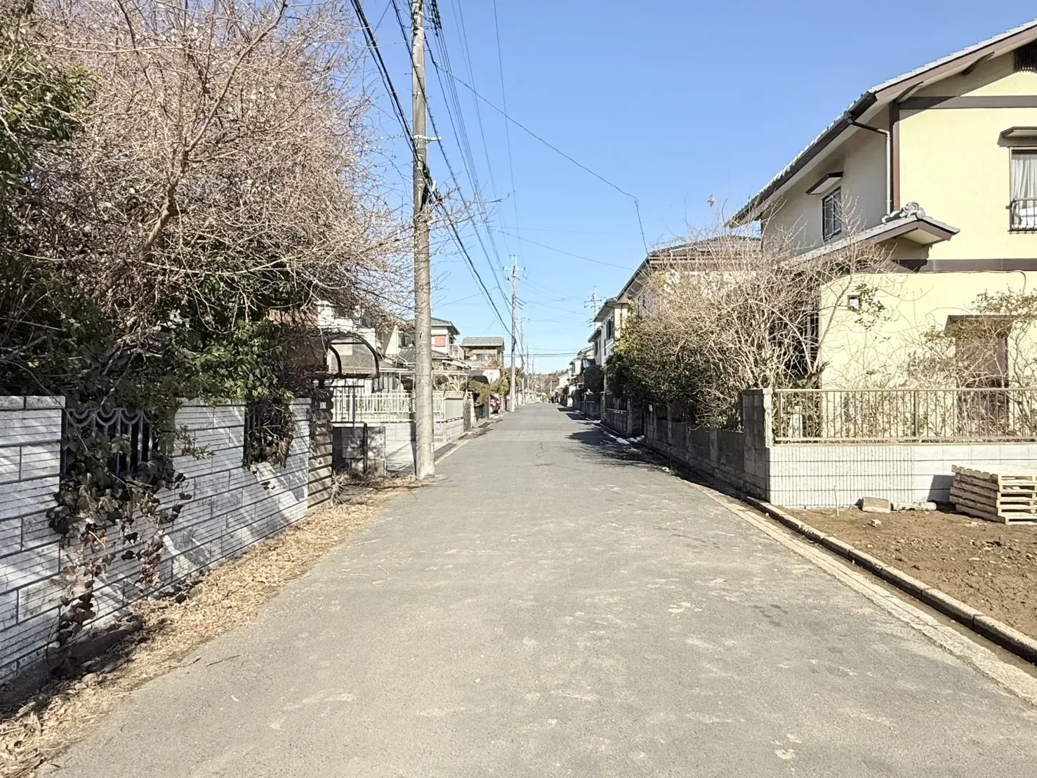 【2026/2/9 前面道路】