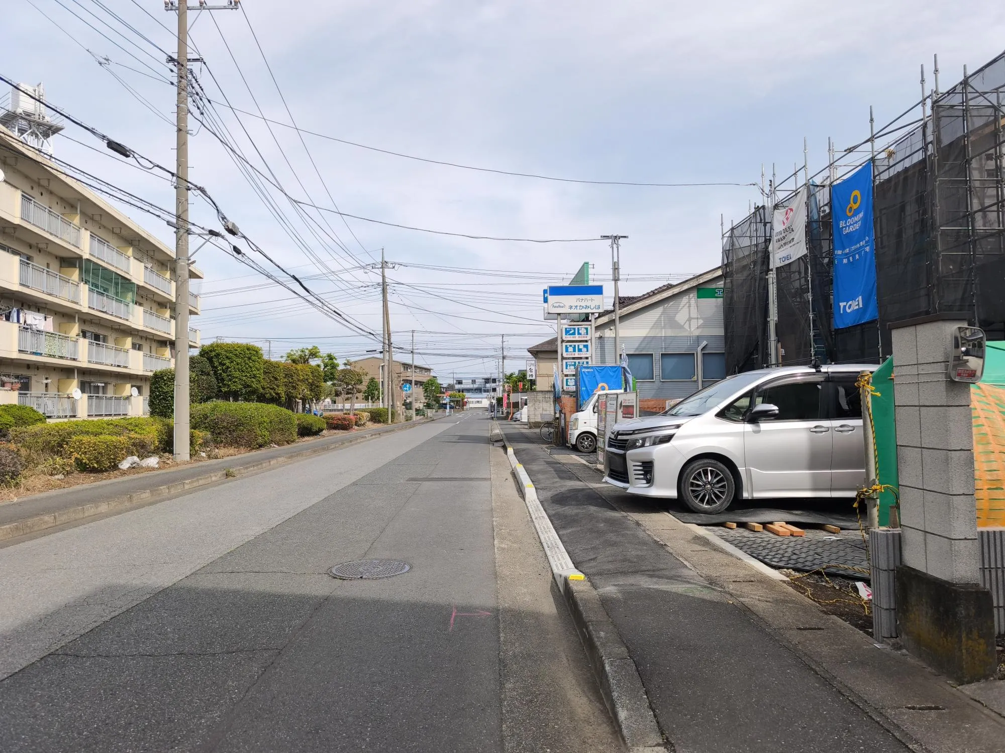 現地写真　4月撮影