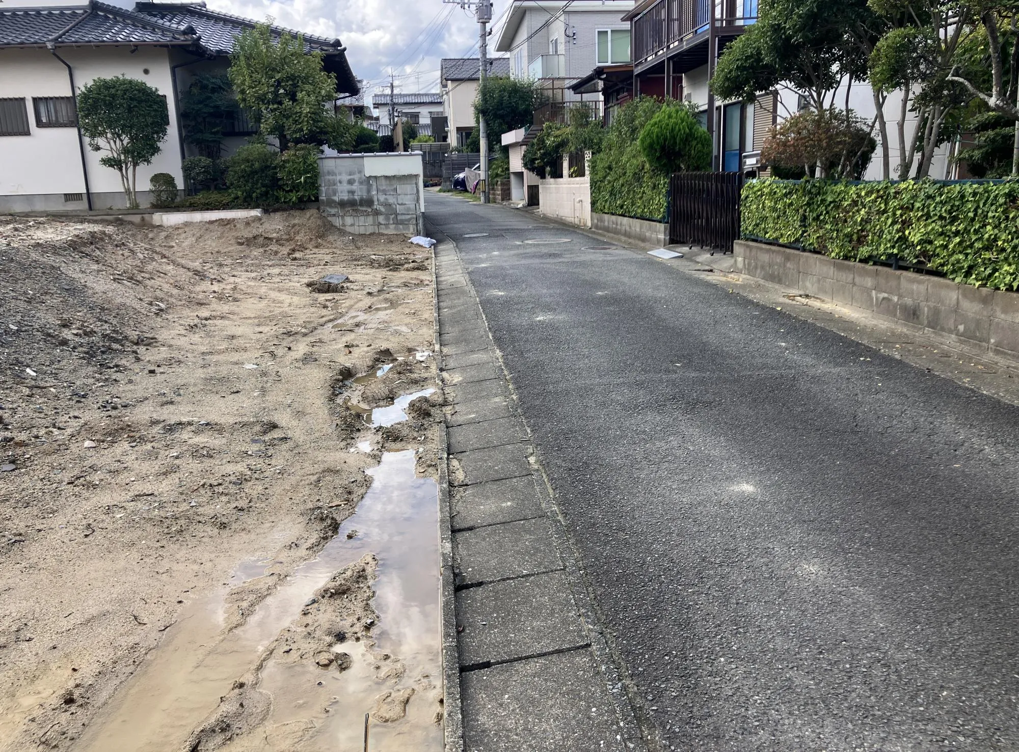 現地写真　2025年10月下旬撮影