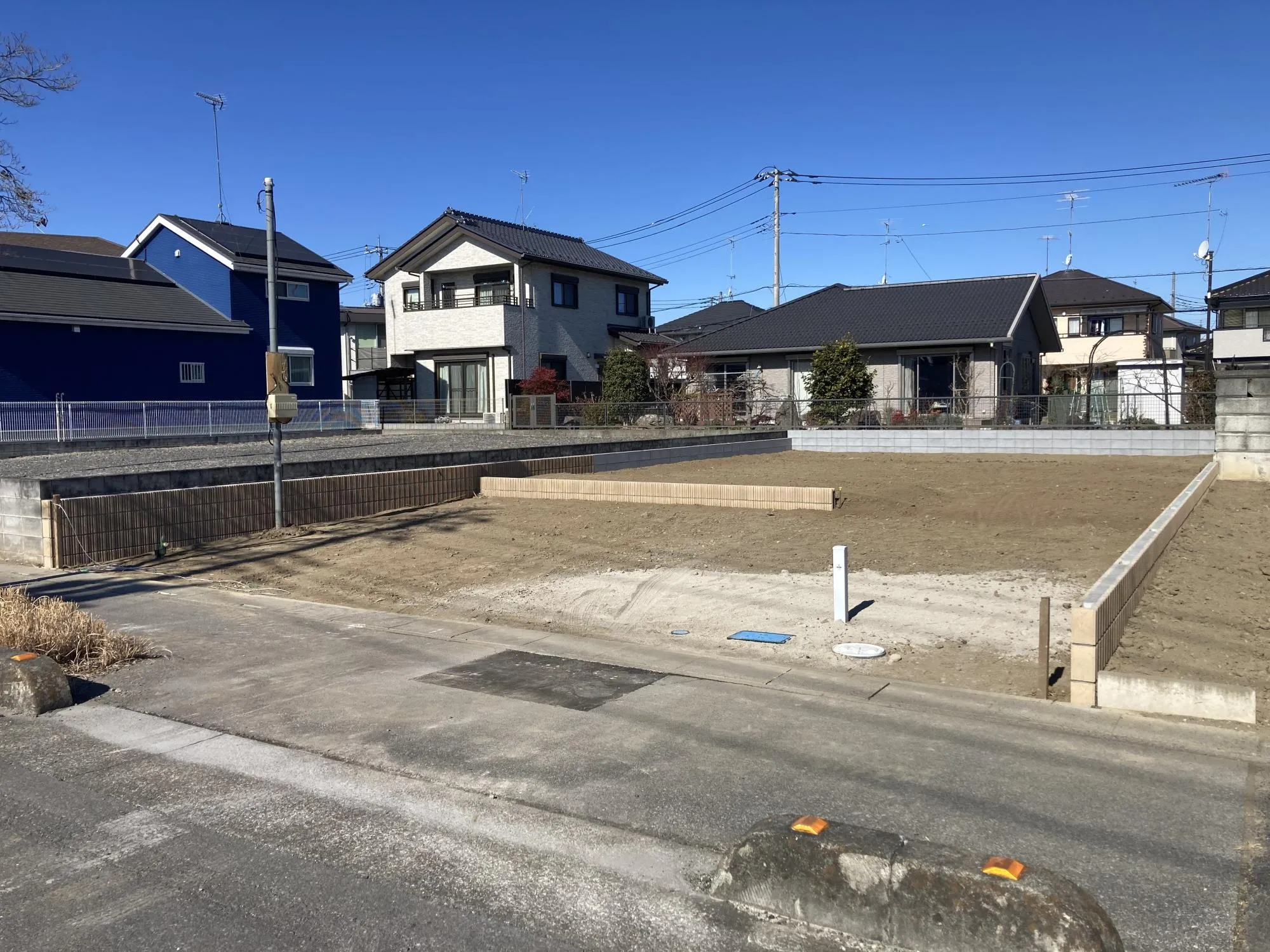 現地写真　2月撮影