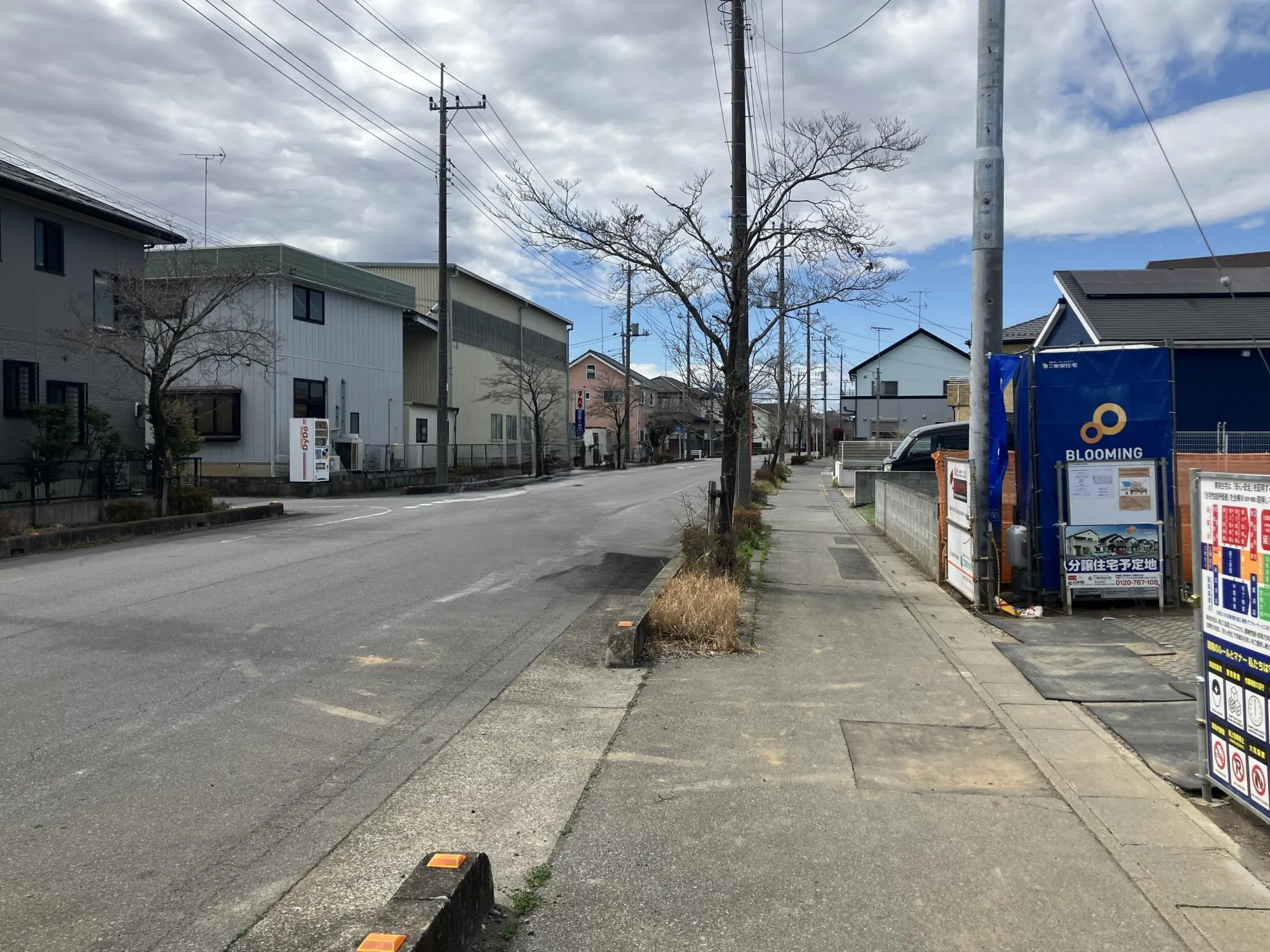 現地写真 3月撮影